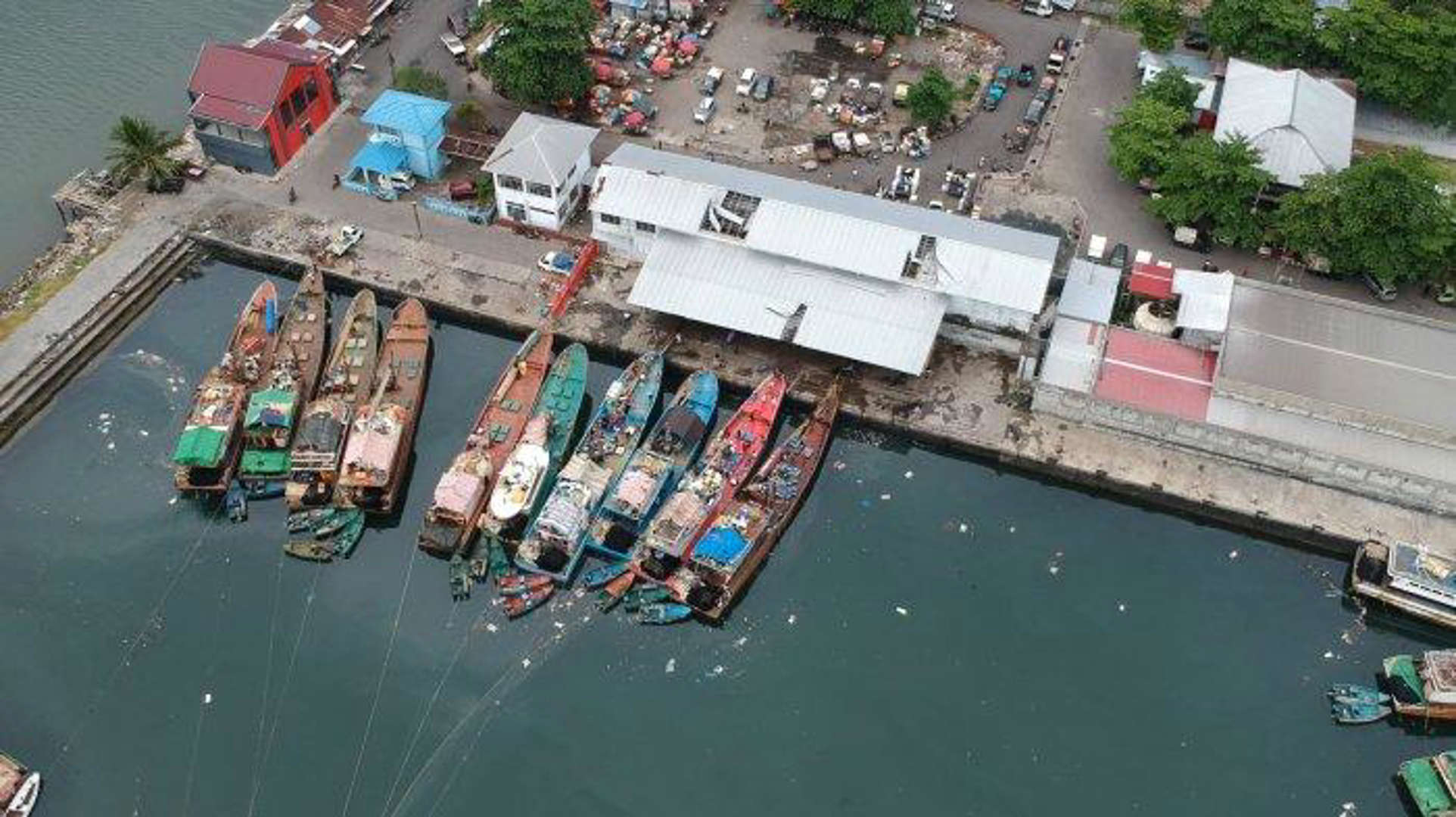 PELELANGAN IKAN DI KOTA MANADO
