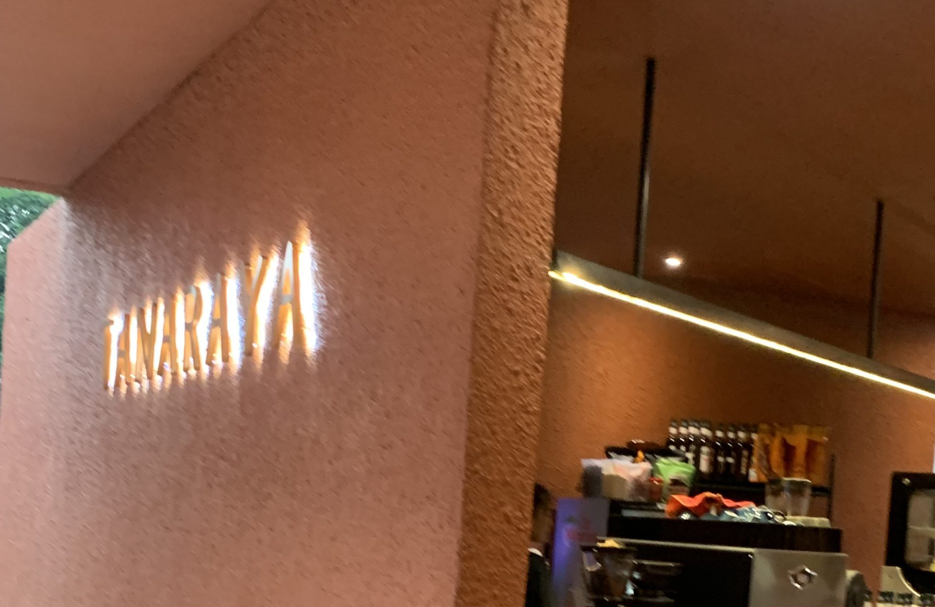 TANARAYA TOMOHON ; VIBES RESTORAN BINTANG 5 , DENGAN HARGA TERJANGKAU